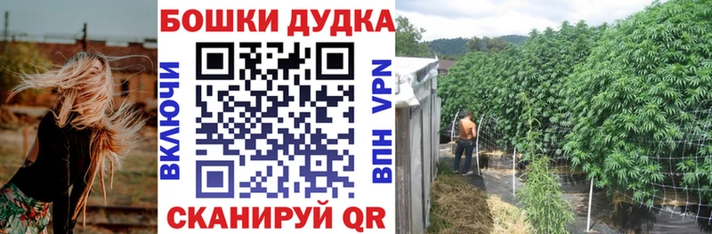 Каннабис THC 21%  купить наркоту  Питкяранта 